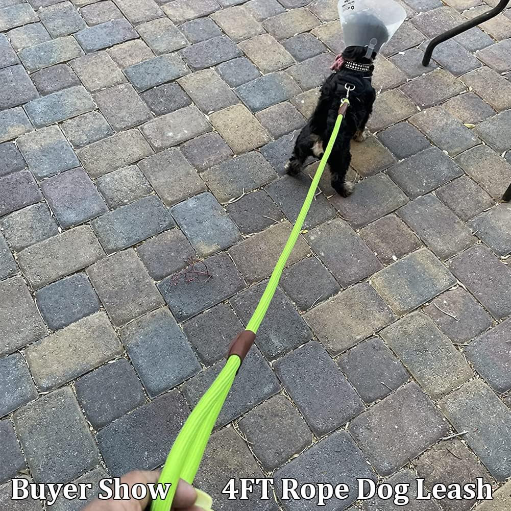 4/6 /8/10 FT Dog Leash, Classic Solid Colors, Strong Nylon Rope Dog Leash Reinforced with Leather Tailor Connection Heavy Duty Silver Clasp (4 Ft*1/2", Green)