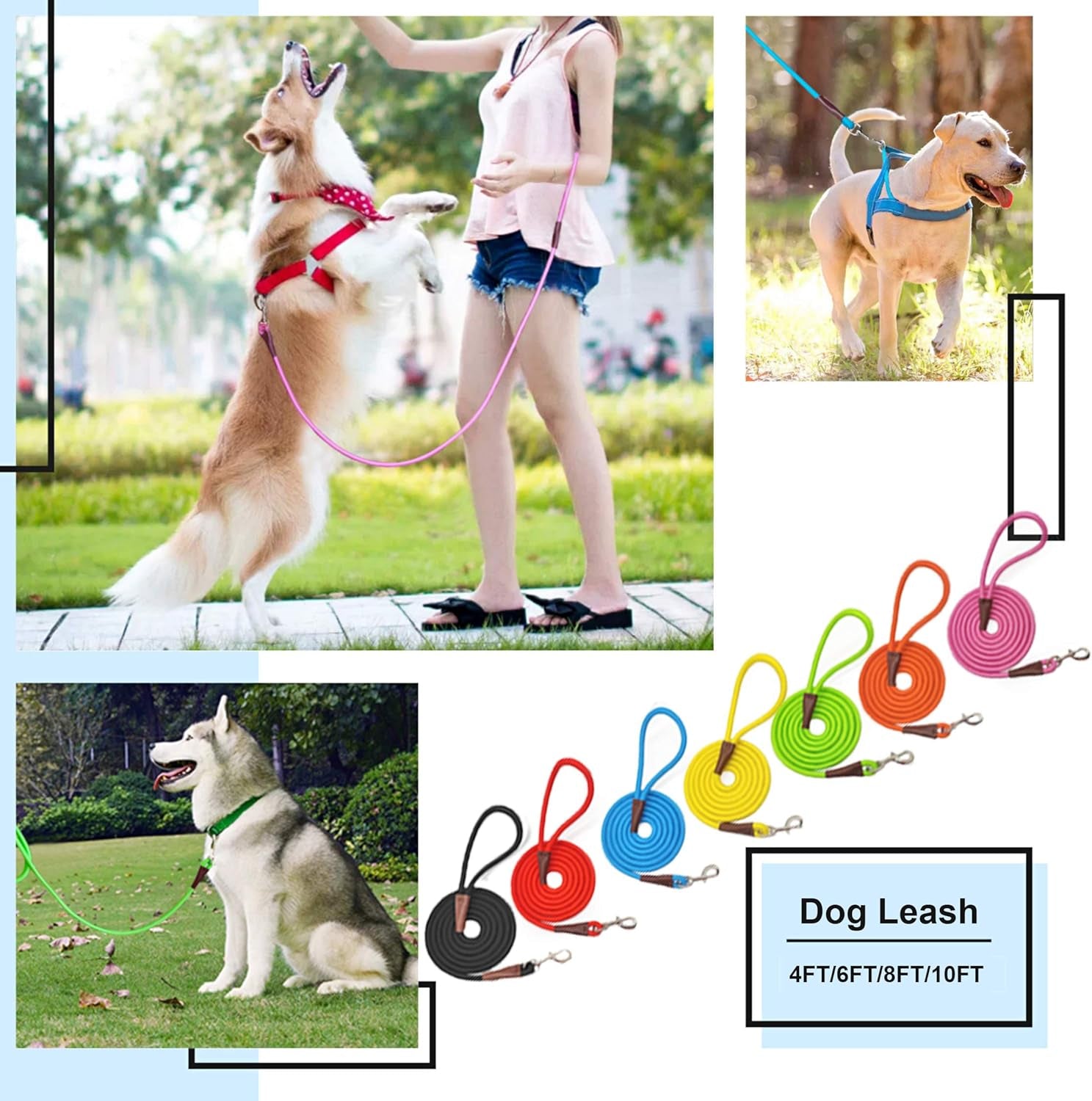 4/6 /8/10 FT Dog Leash, Classic Solid Colors, Strong Nylon Rope Dog Leash Reinforced with Leather Tailor Connection Heavy Duty Silver Clasp (4 Ft*1/2", Green)